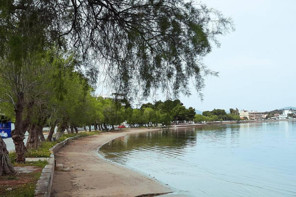 Πολυτελές Διαμέρισμα 3 Χαλκίδα-Παραλία Αυλίδος Paralia Avlidhos Dış mekan fotoğraf