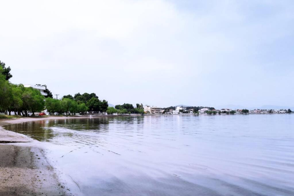 Πολυτελές Διαμέρισμα 3 Χαλκίδα-Παραλία Αυλίδος Paralia Avlidhos Dış mekan fotoğraf